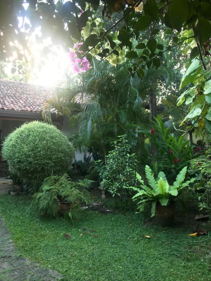 Tangalle Green House ภายนอก รูปภาพ