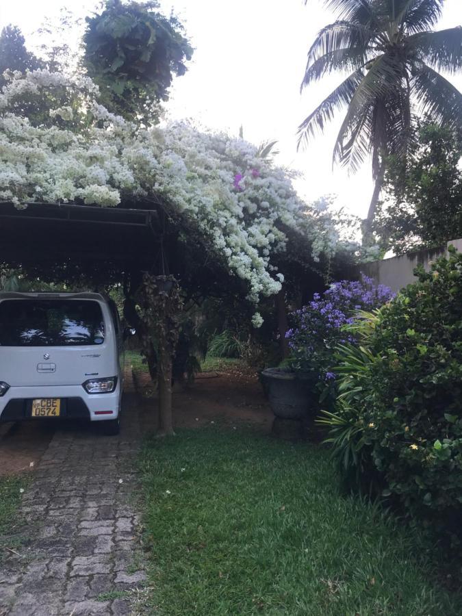 Tangalle Green House ภายนอก รูปภาพ