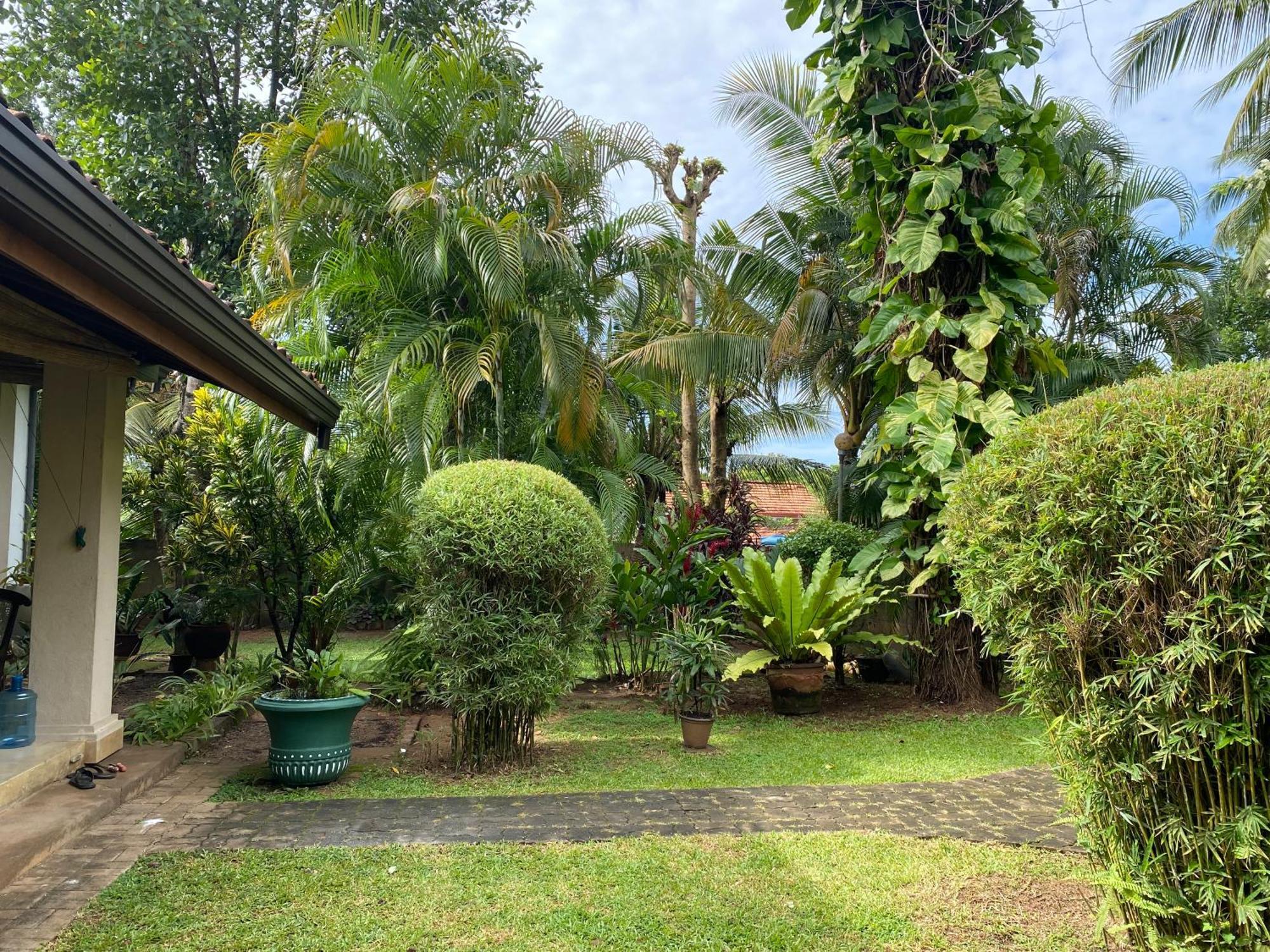 Tangalle Green House ภายนอก รูปภาพ