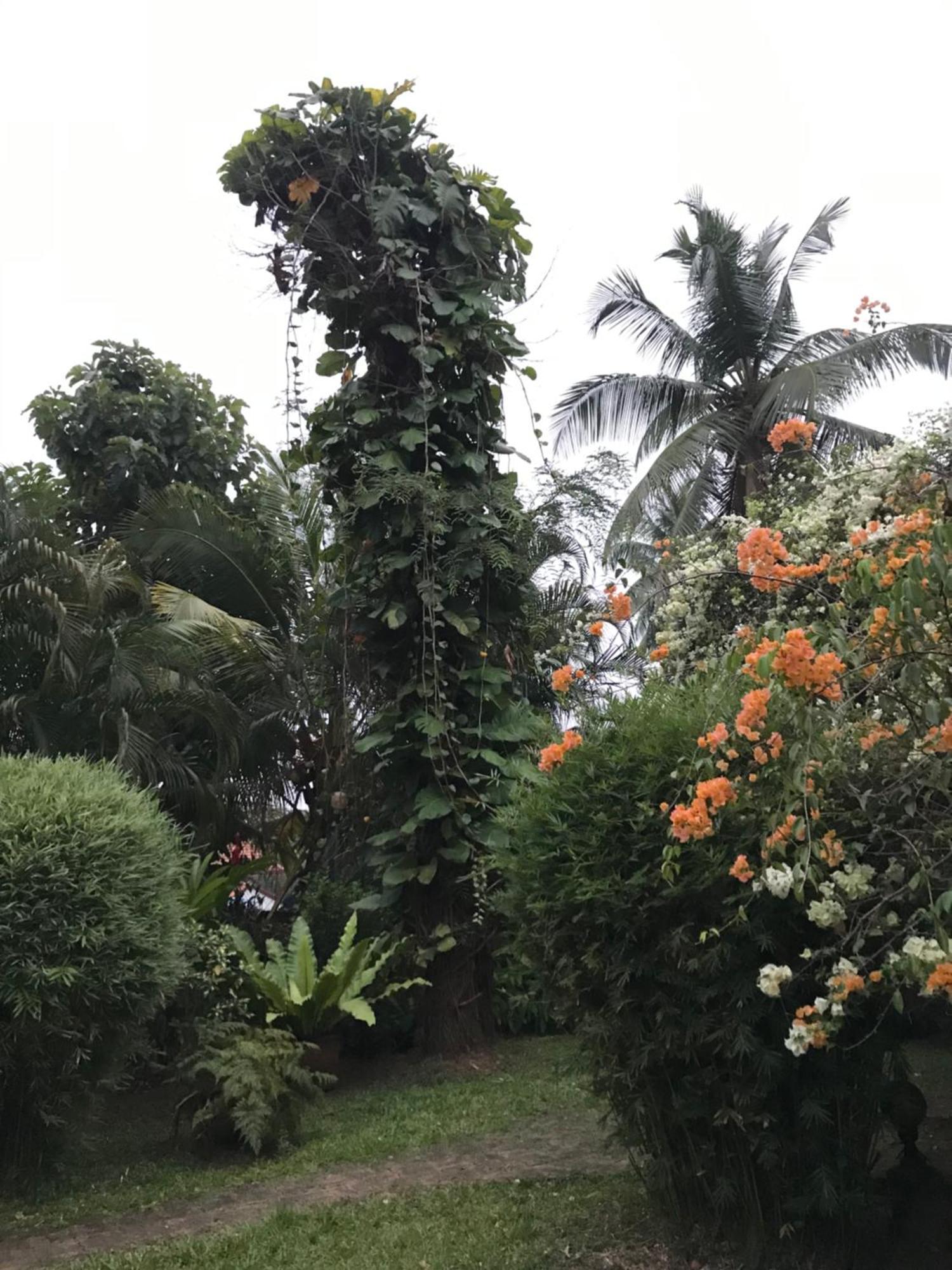 Tangalle Green House ภายนอก รูปภาพ