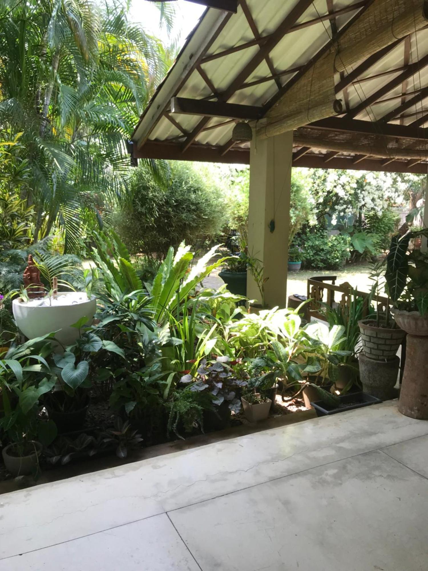 Tangalle Green House ภายนอก รูปภาพ